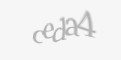 Güvenlik kodu